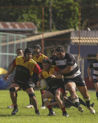 Imagem principal do artigo Minas Gerais, Rio Grande do Sul e São Paulo realizam seus jogos regionais.