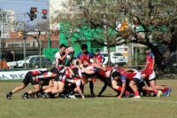 Imagem principal do artigo Campeonato Paulista de Rugby - 2ª divisão