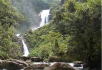 Imagem principal do artigo Parque da Serra da Bocaina entrelaça natureza, história e aventura entre RJ e SP
