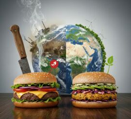 Image from the news article Beyond the Burger: How Plant-Based Innovation is Reshaping the Impact of Food on the Planet