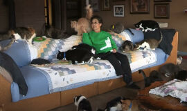 Imagem da notícia Mulher troca vida e casa de luxo por uma pré-fabricada para poder viver com 1100 gatos resgatados