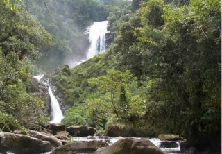 Imagem da notícia Parque da Serra da Bocaina entrelaça natureza, história e aventura entre RJ e SP