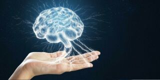 Imagem da notícia Exercício para o cérebro: 5 aplicativos que vão te deixar mais inteligente