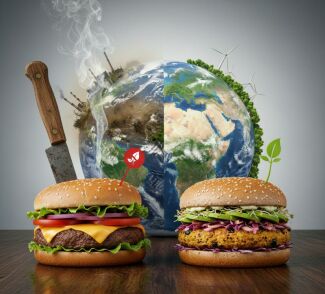 Image from the news article Beyond the Burger: How Plant-Based Innovation is Reshaping the Impact of Food on the Planet