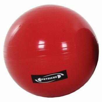 Imagem do produto Physicusball 55cm