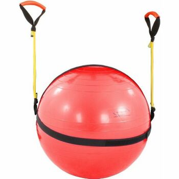 Imagem do produto Physicusball 55cm com Rubber Band