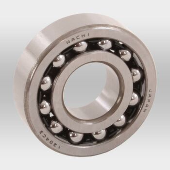 Imagem do produto Rolamento Oscilante 1204 para Elíptico Profissional