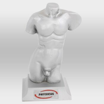 Imagem do produto Boneco Physikinho