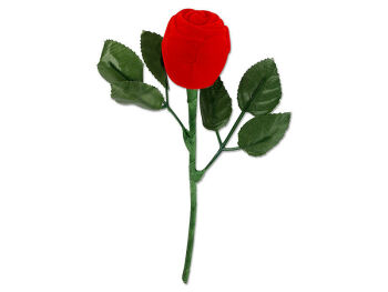 Imagem do produto Estojo Rosa com Cabo