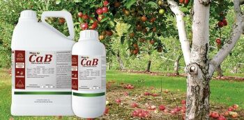 Imagem do produto MAX CAB - FERTILIZANTE FOLIAR