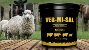 Imagem do produto VERMISAL 1,1 KGS - CHAMPION