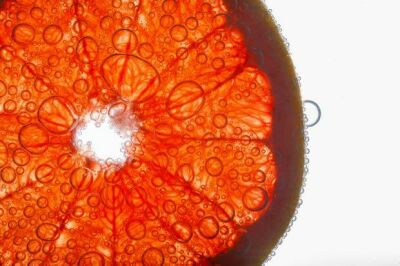 Imagem principal do artigo Diferença entre Morosil®, laranja Moro e Citrus sinensis