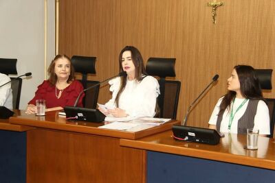 Imagem da notícia Durante audiência pública, deputada Mara Caseiro debate os desafios do setor odontológico em MS