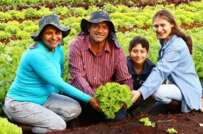 Imagem da notícia Novo recorde nas vendas da agricultura familiar é projetado após movimentação de R$ 5,1 milhões em MS