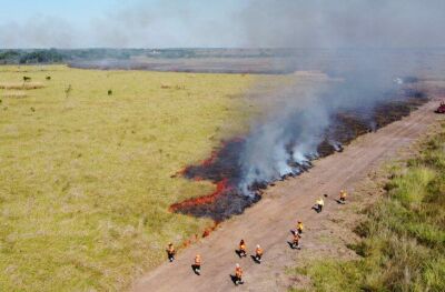 Imagem da notícia Governo de MS altera decreto de emergência ambiental, facilitando execução de aceiros