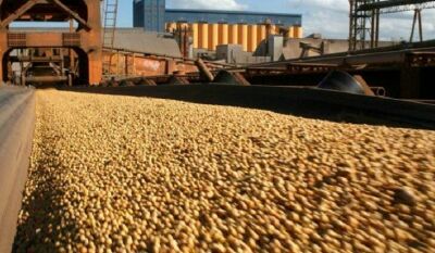 Imagem da notícia Produção agrícola de Mato Grosso do Sul deve alcançar 75,3 milhões de toneladas na safra 2024/25