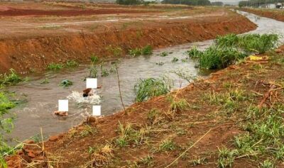 Imagem da notícia Crianças são flagradas tomando banho em valeta de escoamento da chuva em Chapadão do Sul