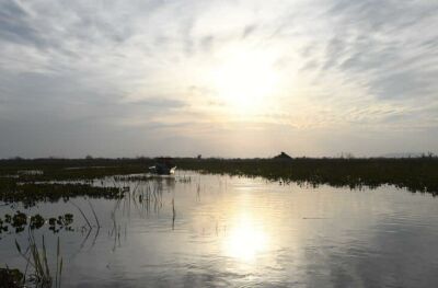 Imagem da notícia Lei do Pantanal tem reconhecimento de entidades e ONGs