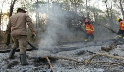 Imagem da notícia Mato Grosso do Sul em alerta para incêndios florestais no Pantanal