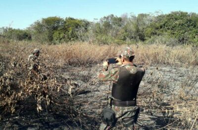 Imagem da notícia MS já aplicou R$ 54 milhões em multas por incêndios no Pantanal