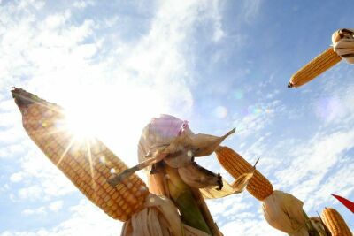 Imagem da notícia PIB de Mato Grosso do Sul deve crescer 5,5% em 2025, impulsionado pela agropecuária