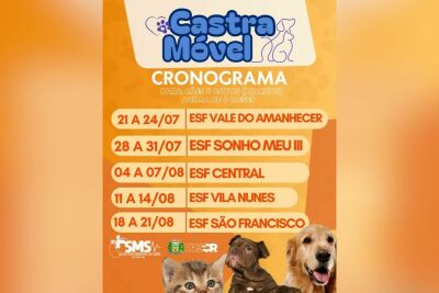 Imagem da notícia Costa Rica retoma castrações gratuitas de cães e gatos; veja onde levar seu pet