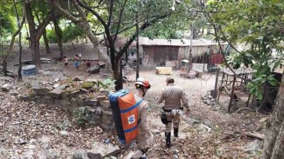 Imagem da notícia Homem é atacado por onça-pintada ao tentar salvar cachorro em Corumbá