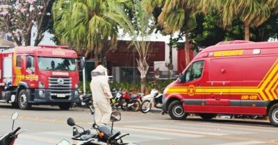 Imagem da notícia Enxame de abelhas ataca pedestres e ciclistas em praça central de Paranaíba