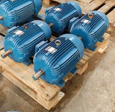 Imagem do produto Motor Elétrico de Indução Trifásico