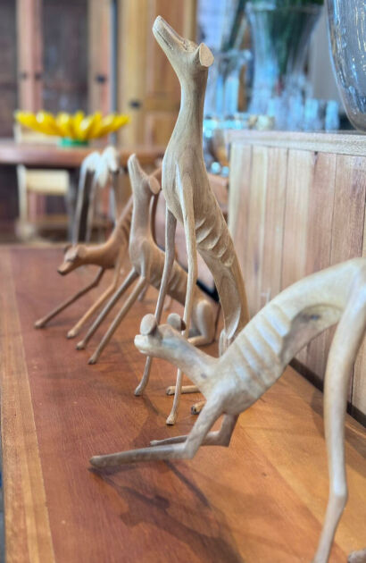 Ilustração pra decorar