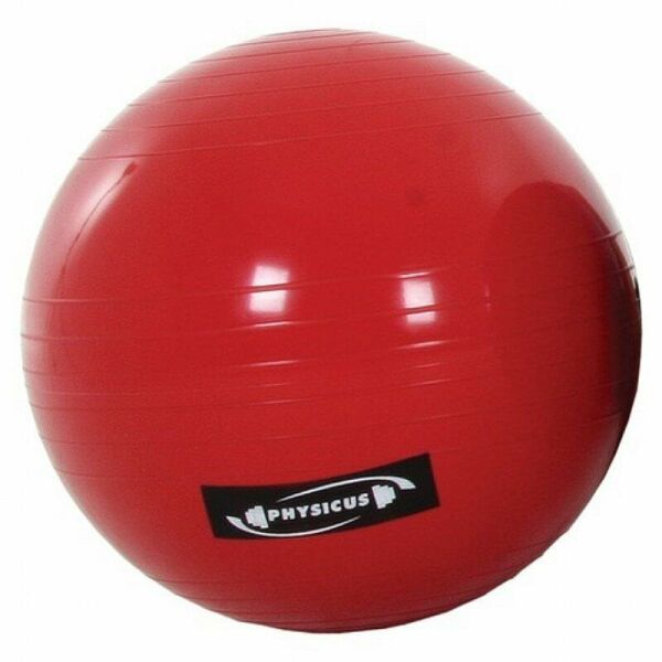 Imagem do produto Physicusball 55cm