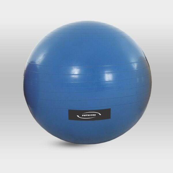 Imagem do produto Physicusball 65CM