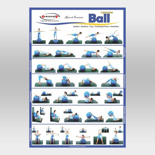 Imagem do produto Cartaz de Exercícios com Physicusball