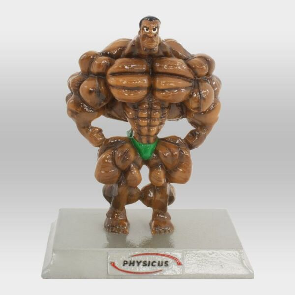 Imagem do produto Boneco Physikinho