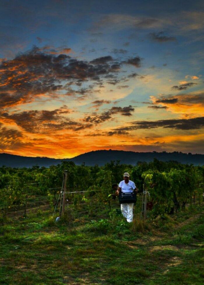 Imagem de Uma Excelência na Toscana