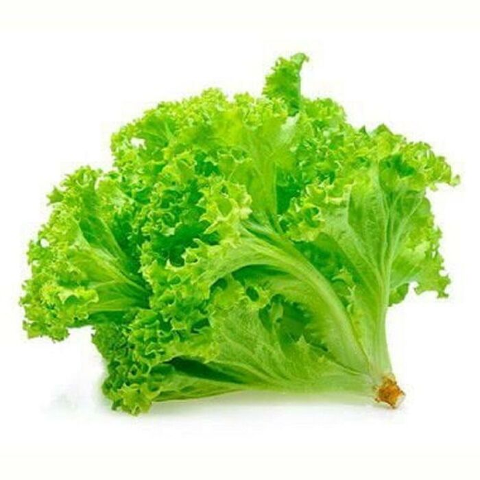 Imagem de Alface Crespa
