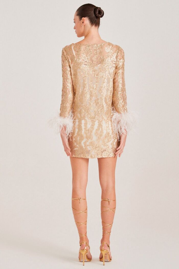 Imagem de Vestido Curto de Paetê com Plumas Dourado Zen