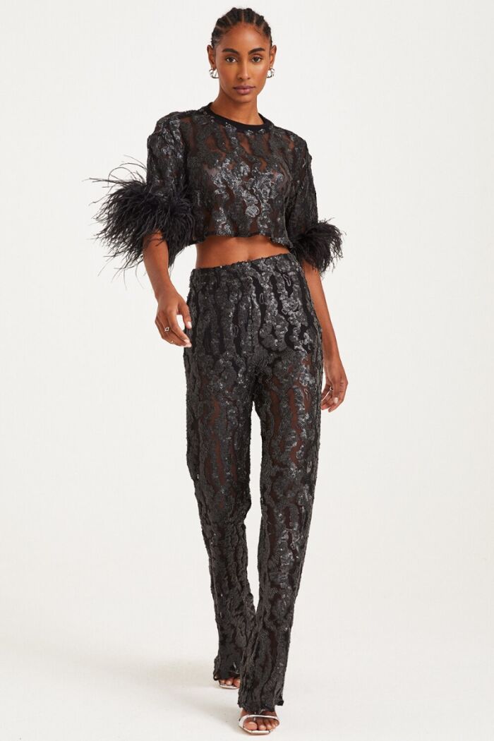 Imagem de Cropped Manga Longa de Paetê e Plumas no Punho