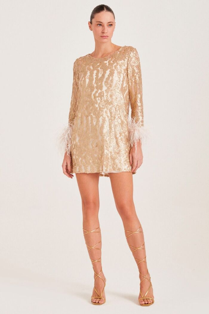 Imagem de Vestido Curto de Paetê com Plumas Dourado Zen