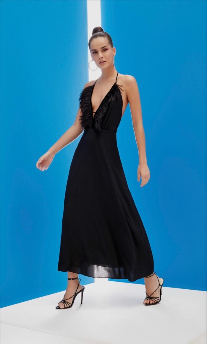 Imagem de Vestido Longo Det Plumas Regina Salomão