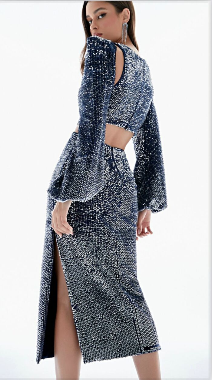 Imagem de Vestido Paetê Veludo Regina Salomão