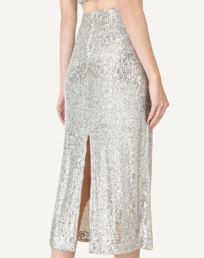 Imagem de Saia Diana Prata Amissima