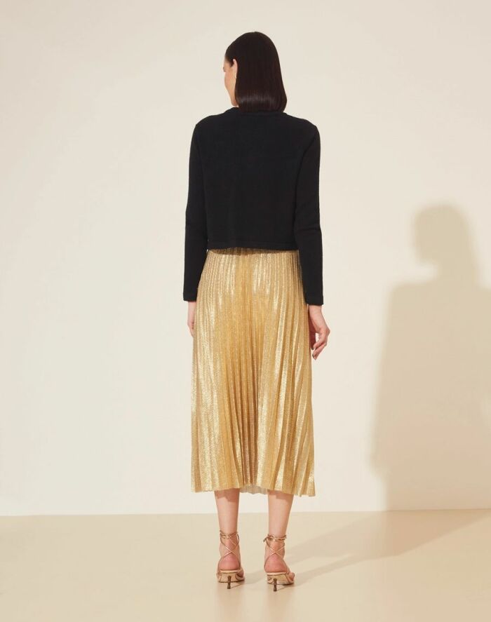 Imagem de Saia Plissada Desirée Amissima