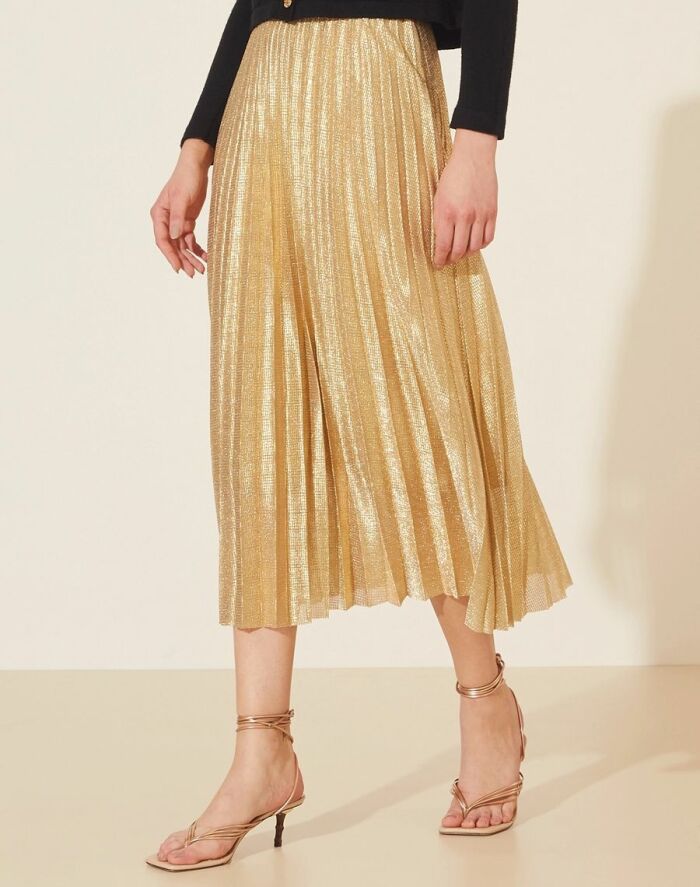 Imagem de Saia Plissada Desirée Amissima