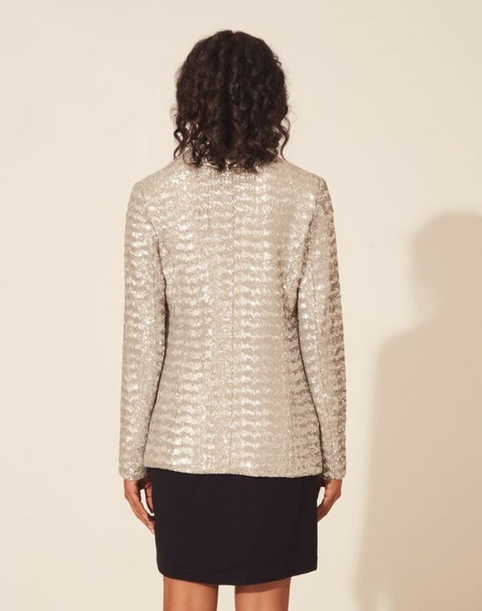Imagem de Blazer Glamour Prata Amissima