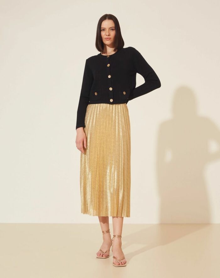 Imagem de Saia Plissada Desirée Amissima