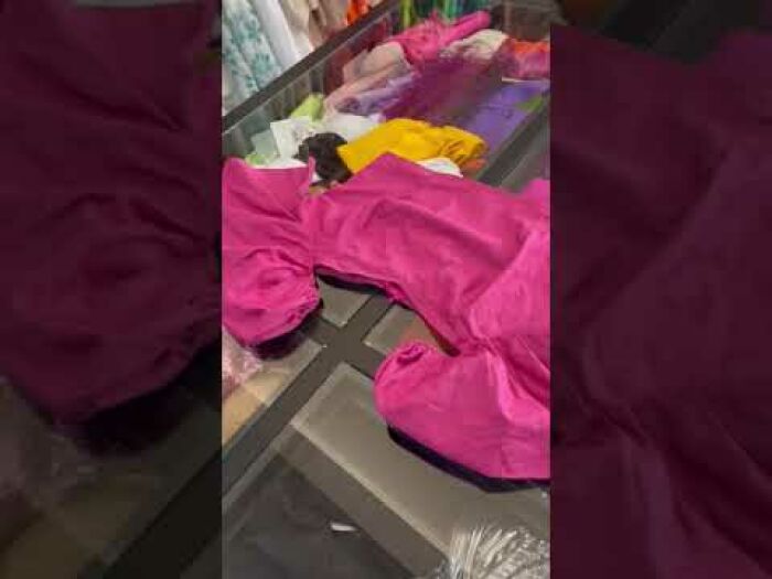 Imagem de Cropped Patrícia Rosa Ana Hova