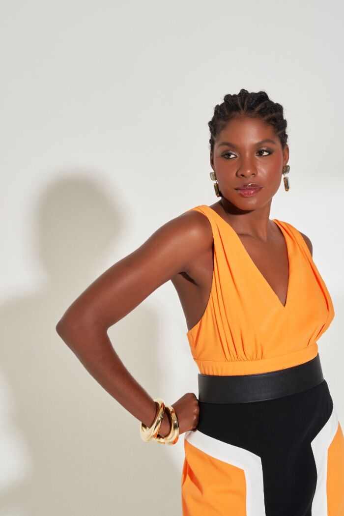 Imagem de Top Gerbera Raizz