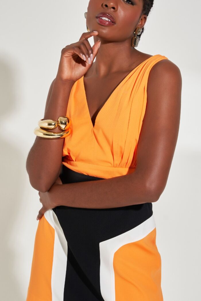 Imagem de Top Gerbera Raizz