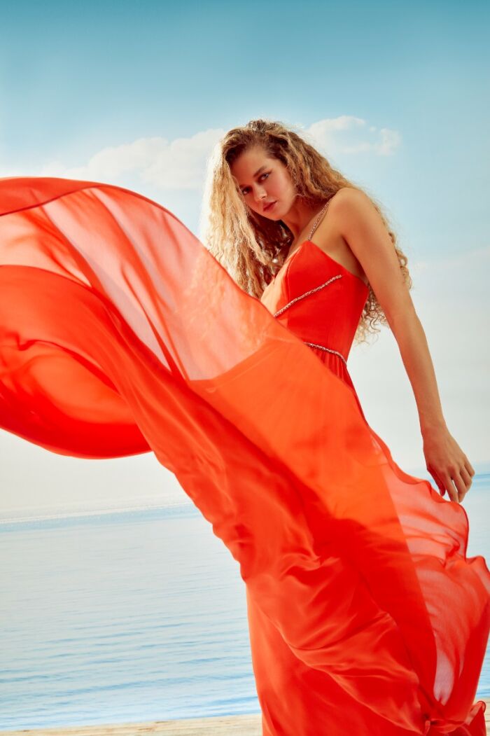 Imagem de Vestido Eloise Regina Salomão